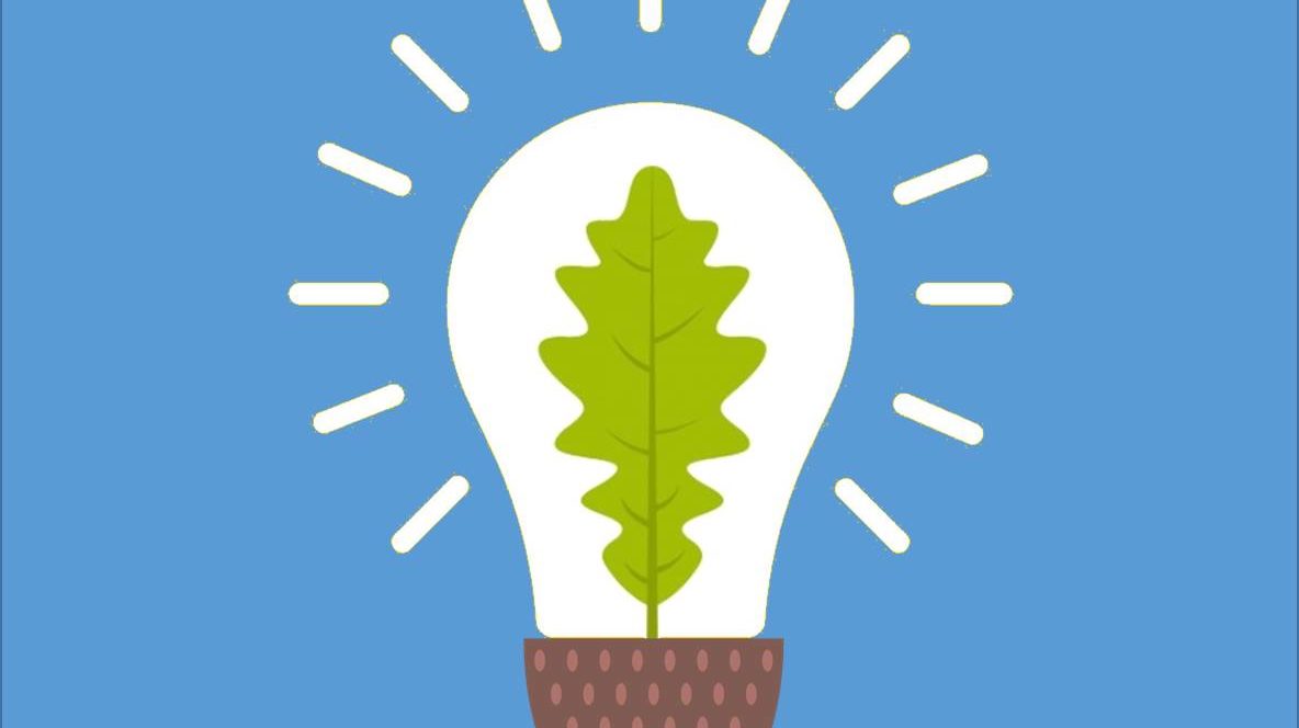 Acorn / Oak leaf lightbulb