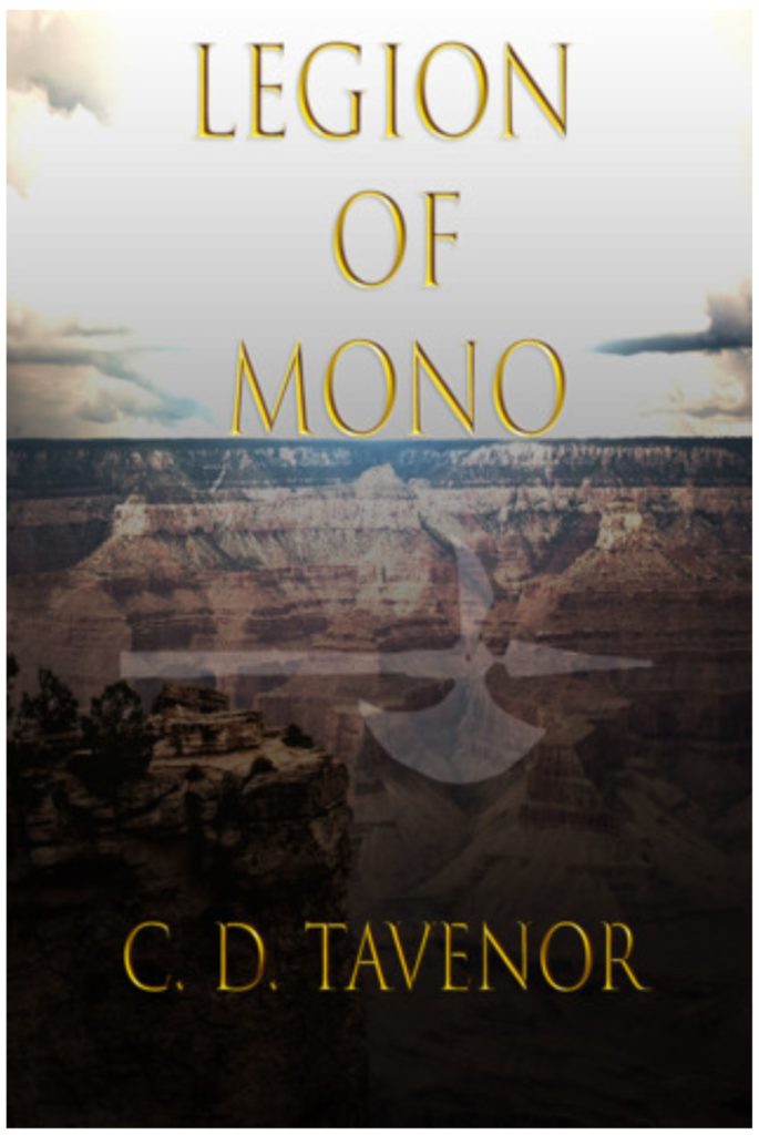 Front cover of book
